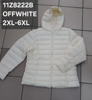 Kurtka damska jesienna (2XL-6XL) NG1453