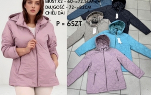 Kurtka damska jesienna (4XL-9XL) DH13249