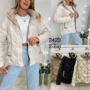 Kurtka damska jesienna (2XL-6XL) DH11945
