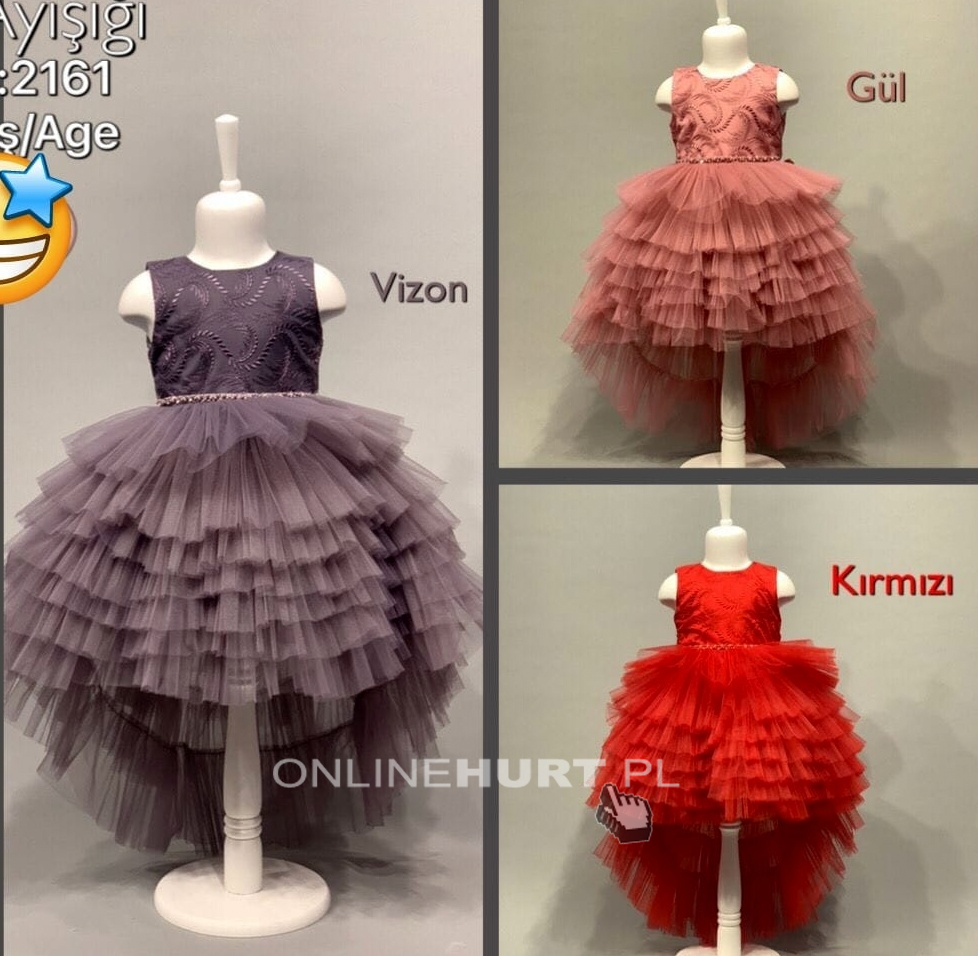 Sukienki wizytowe dla dziewczynki (3-7) TP13384